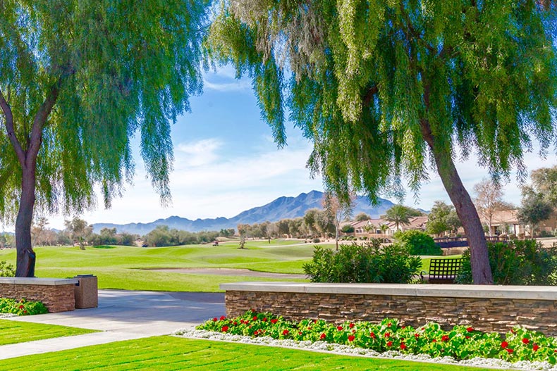 Trees and picturesque landscaping on the grounds of Trilogy at Power Ranch in Gilbert, Arizona