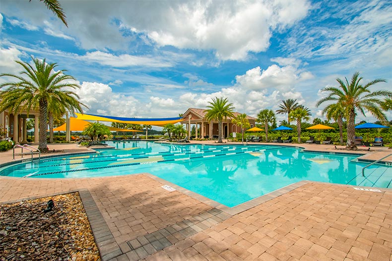 View of palm trees surrounding the outdoor pool and patio at Trilogy Orlando in Groveland, Florida