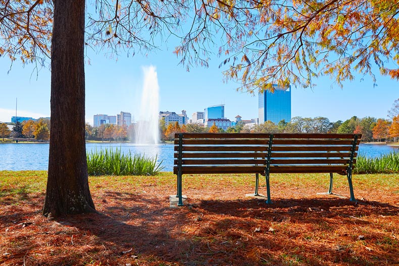 A bench beside a tree in Hermann Park Conservancy in Houston, Texas
