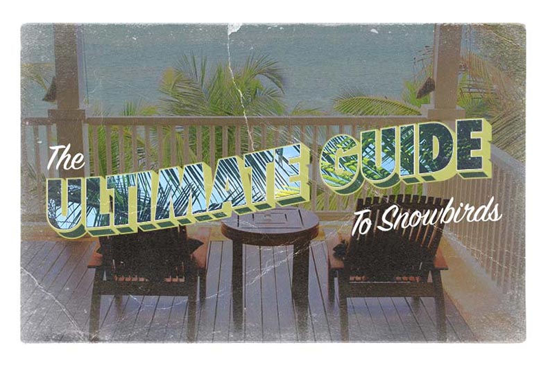 "The Ultimate Guide to Snowbirds" text over an image of two deck chairs in the style of a post card