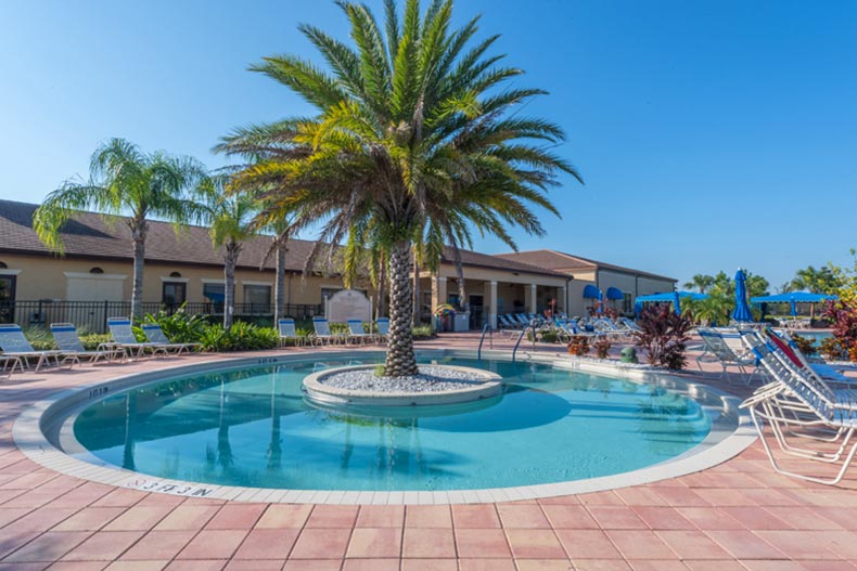 A palm tree in the middle of an outdoor pool at Valencia Lakes in Wimauma, Florida