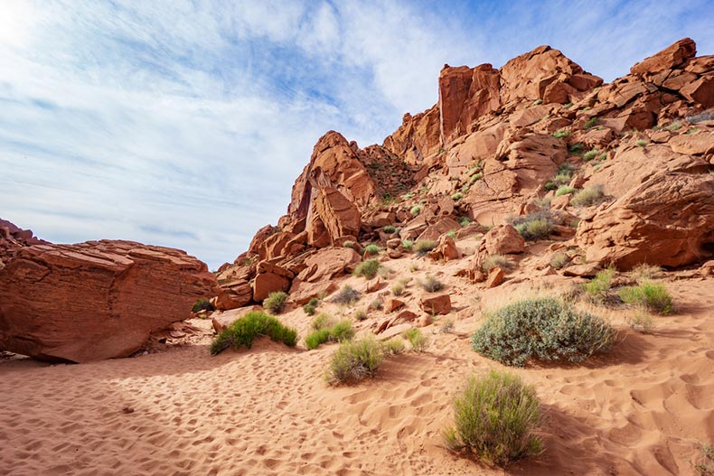 Red sand and rock formations with desert shrubs in the Valley of Fire State Park in Nevada