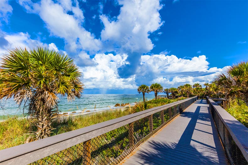 An oceanside boardwalk lined with palm trees at Caspersen Beach in Vencie, Florida