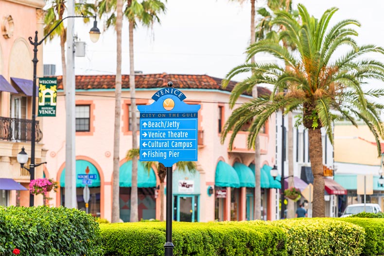 Palm trees, shops, and a directional sign in Venice, Florida