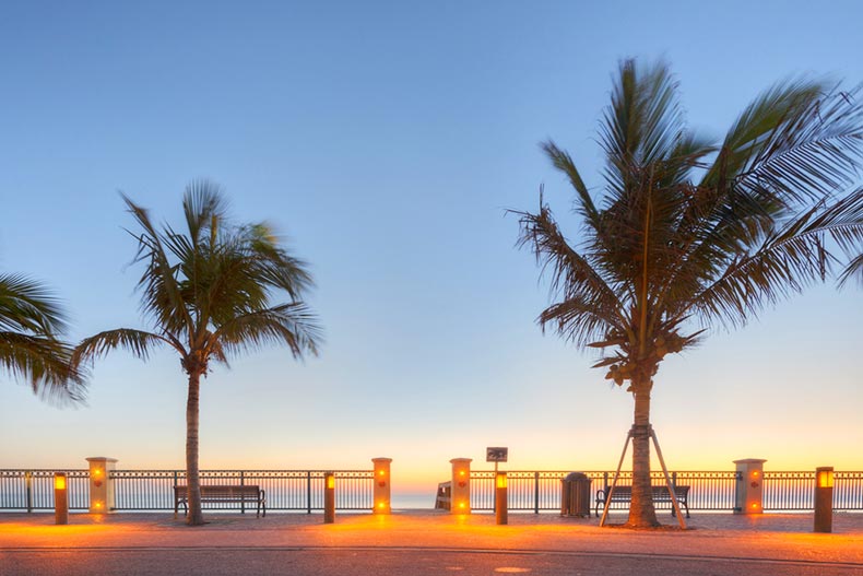 Palm trees along Vero Beach in Florida at sunrise.