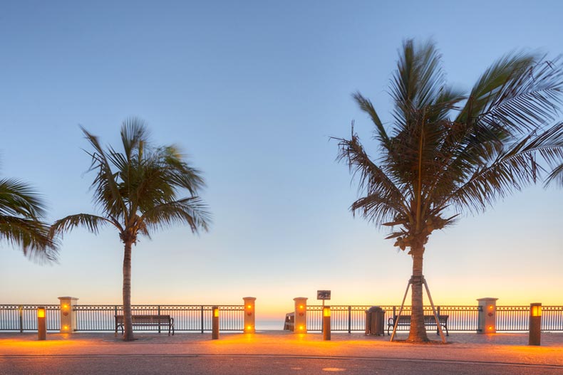 Palm trees along a walkway on Vero Beach in Florida at twilight