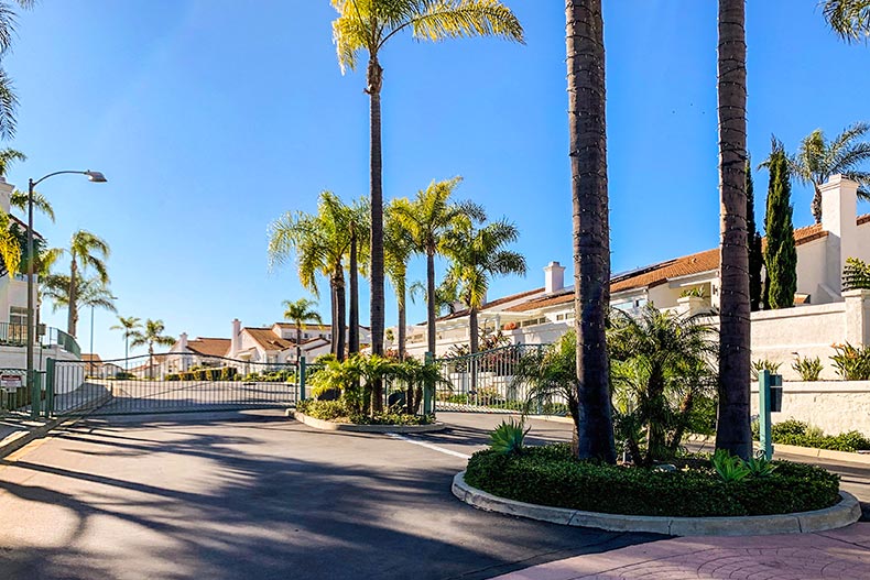 Palm trees near the gated entrance to Villa Trieste in Oceanside, California