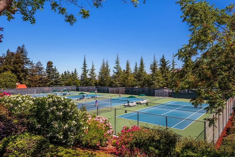 Overhead view of tennis courts with greenery surrounding the gates, located in The Villages Golf and Country Club of San Jose, California