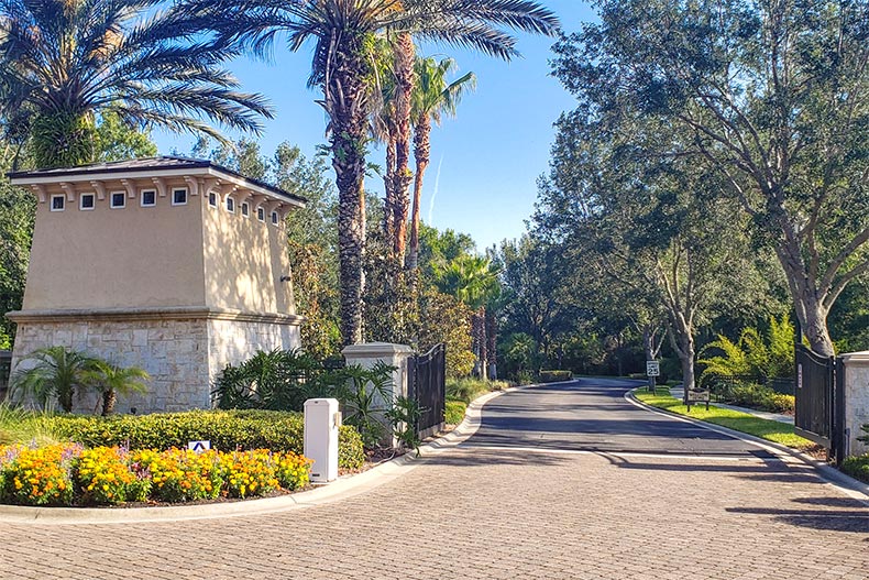 Trees lining a road at Tidewater by Del Webb in Estero, Florida