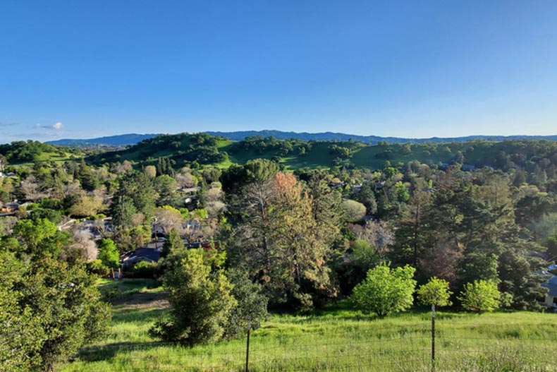 View of rolling hills with grass and trees in Walnut Creek, California