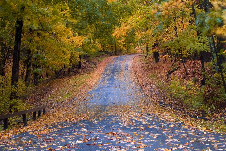 Autumn leaves falling on a country road in Warwick, New York