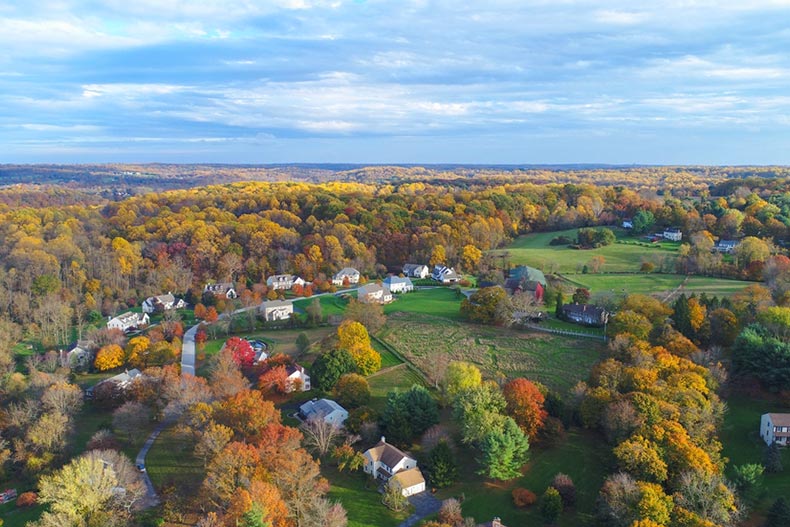 Aerial view of trees and a neighborhood in West Chester, Pennsylvania