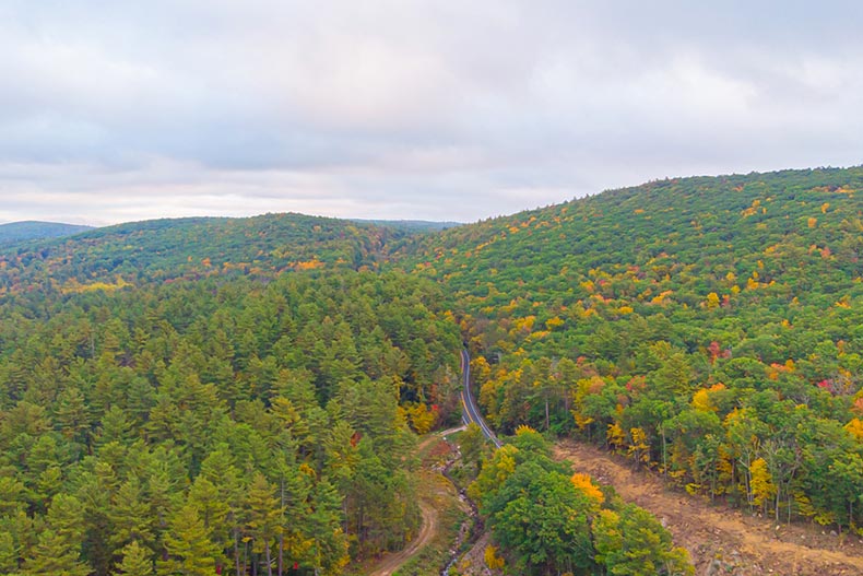 Aerial view of a road winding through a forest in Northwestern Connecticut