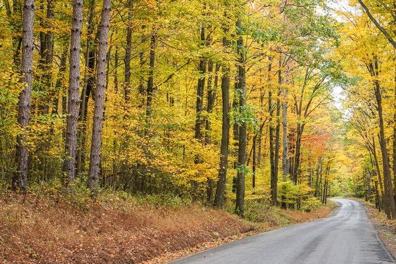 A road winding through Western Pennsylvania surrounded fall foliage