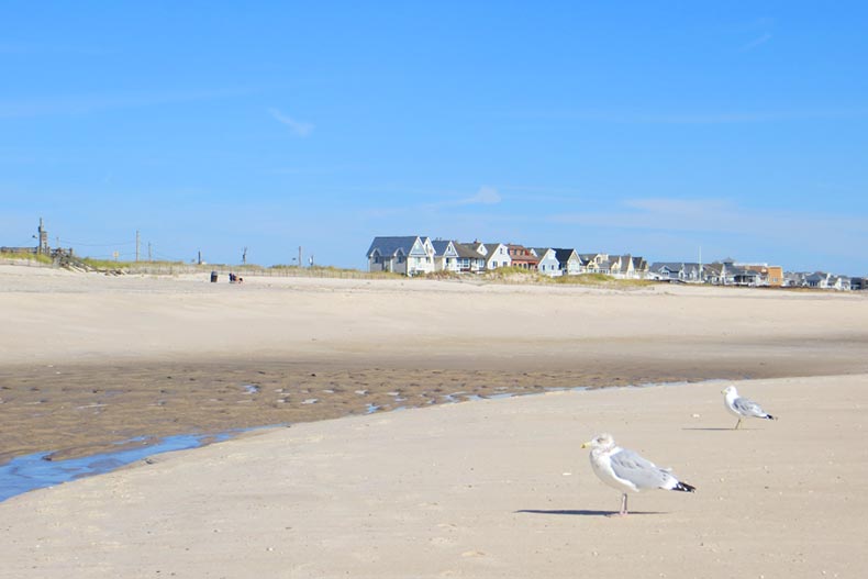 Beach houses at Cupsogue Beach County Park in Westhampton Beach in Long Island, New York