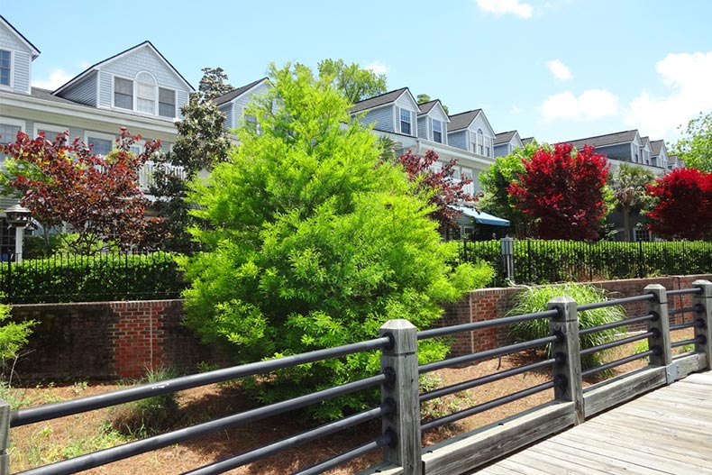 View from Riverwalk along the historic waterfront in downtown Wilmington, North Carolina