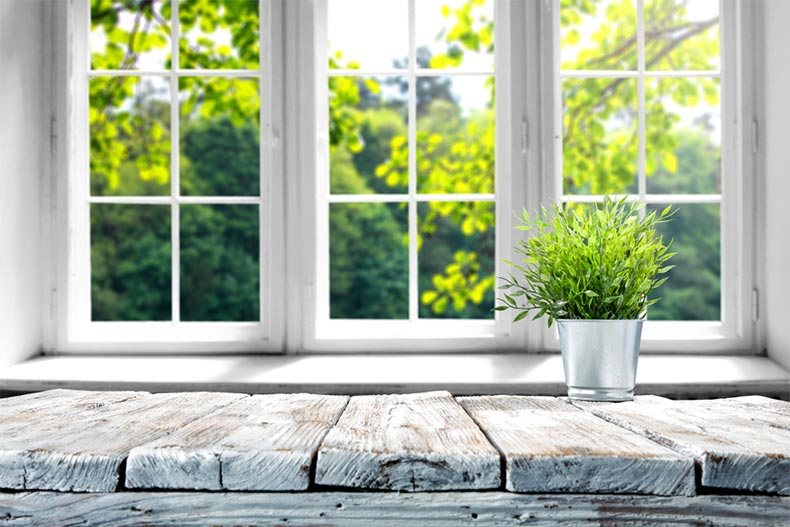 A wooden table with a green plant beside a set of windows