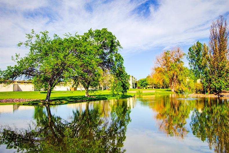 An Urban Retirement In Denver Colorado Awaits At Windsor Gardens