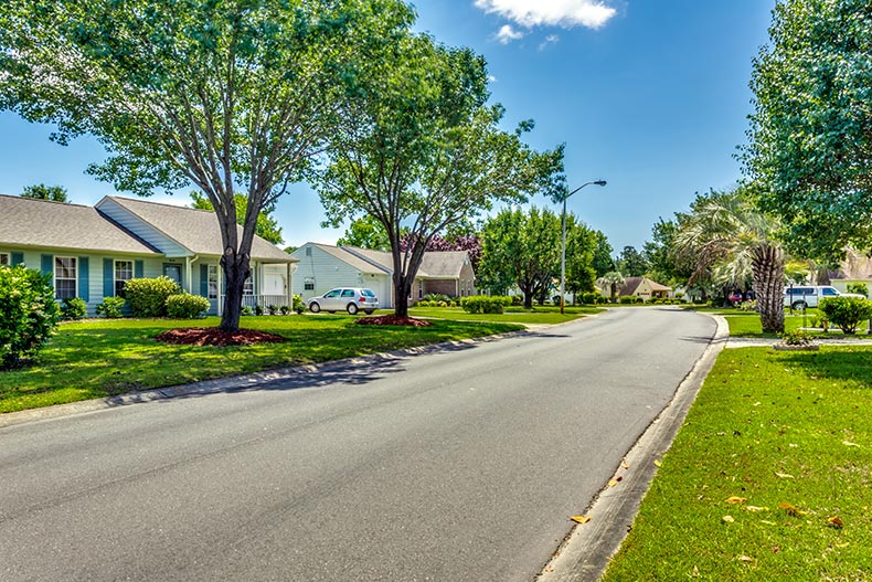 Trees and homes lining a road in Woodlake Village in Murrells Inlet, South Carolina