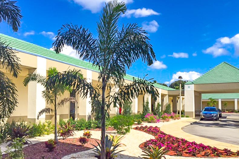 Palm trees outside a community building in Wynmoor Village in Coconut Creek, Florida