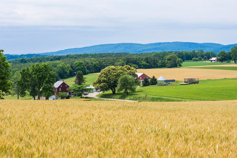 A farm in York County in Pennsylvania on a summer day